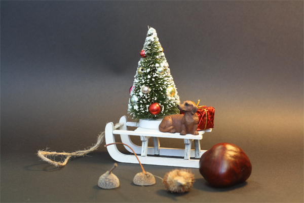 Dackel auf Schlitten mit Tannenbaum
